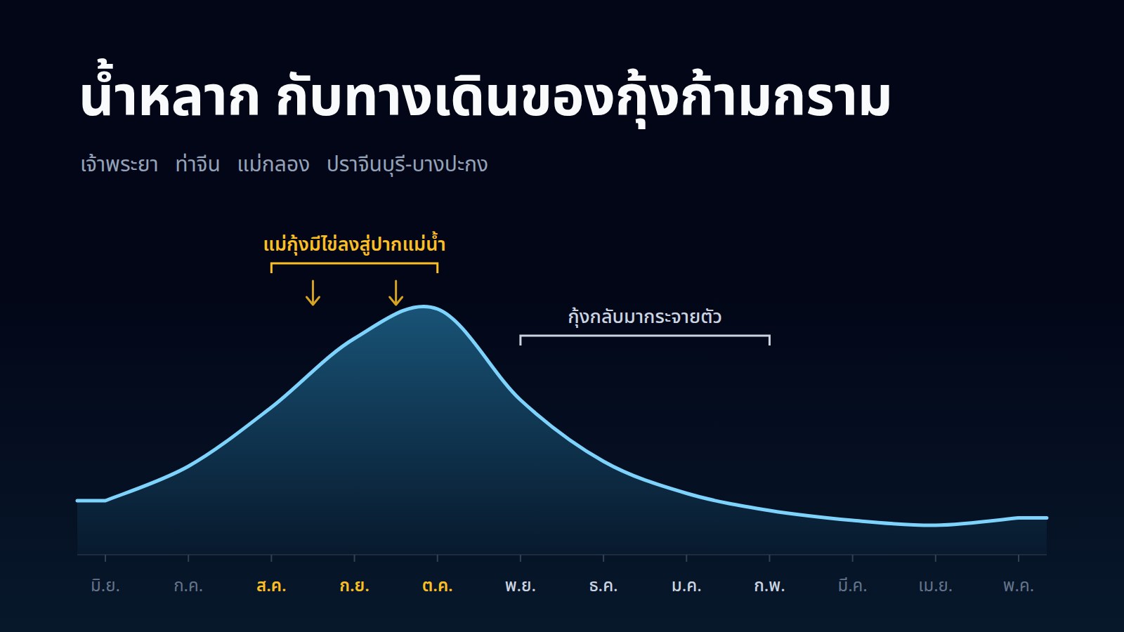 กราฟปริมาณน้ำในแม่น้ำตลอดปี น้ำหลากสูงสุดช่วงสิงหาคมถึงตุลาคมที่แม่กุ้งมีไข่ลงสู่ปากแม่น้ำ และช่วงพฤศจิกายนถึงกุมภาพันธ์ที่กุ้งกลับมากระจายตัว